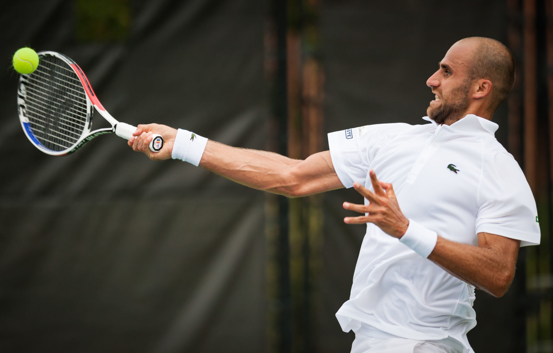 Winston-Salem Open